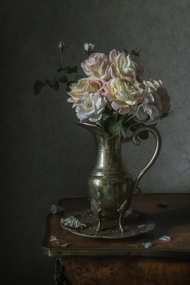 Фотография автора Анна Петина