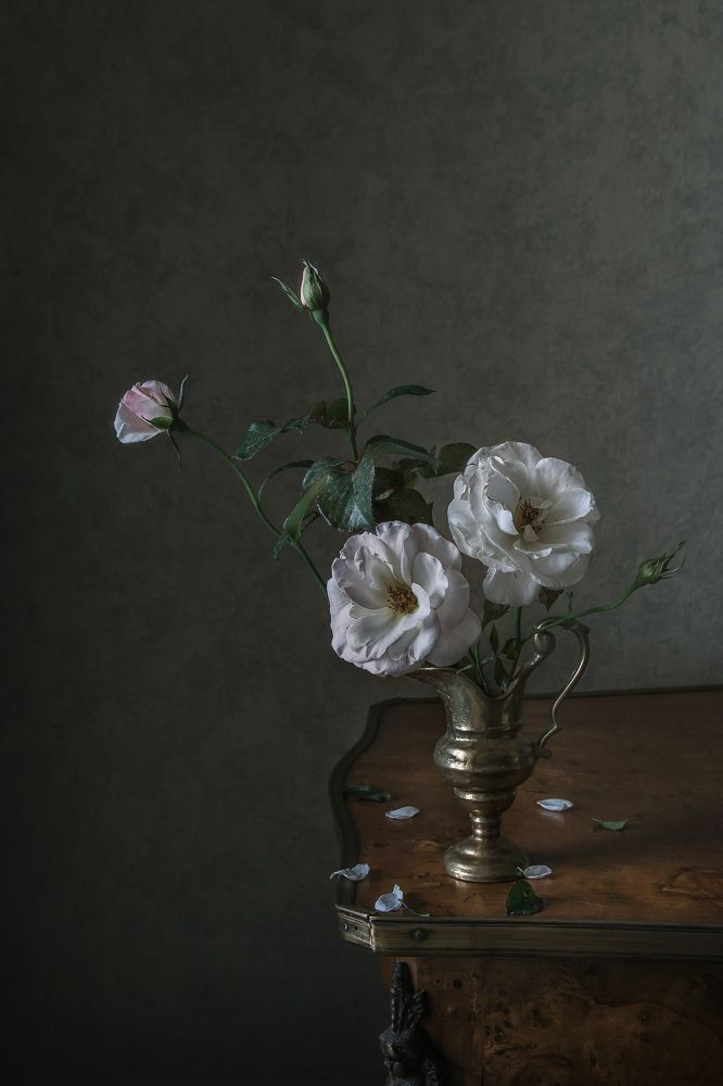 Фотография автора Анна Петина