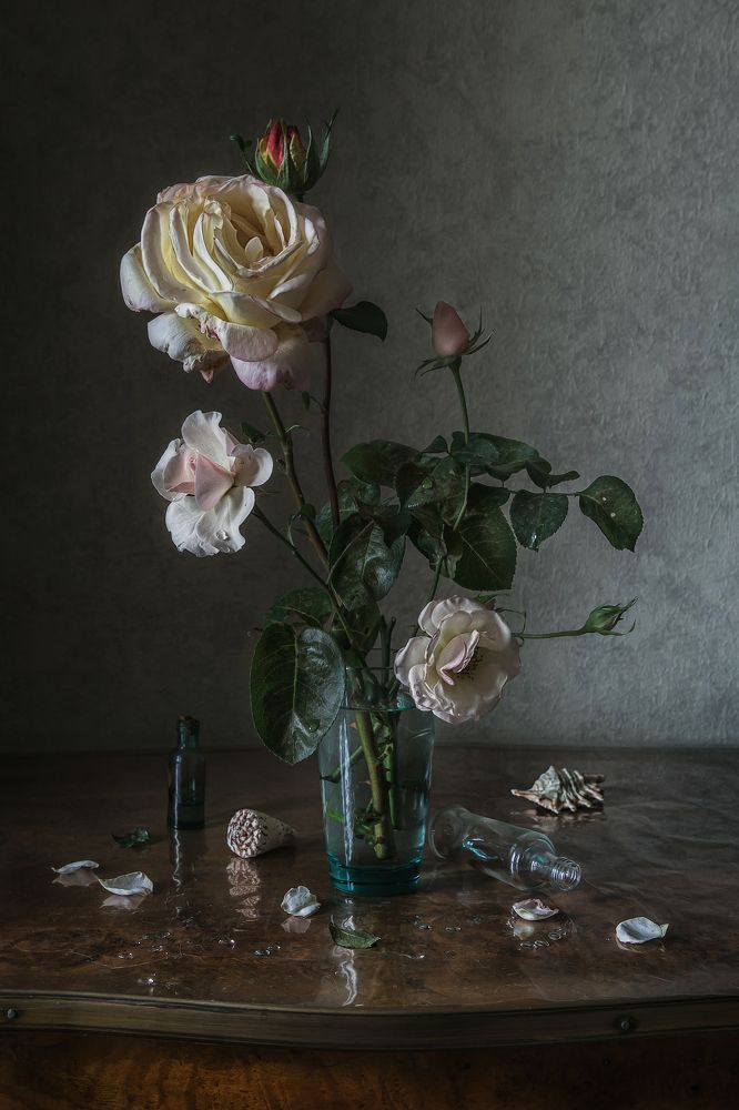 Фотография автора Анна Петина