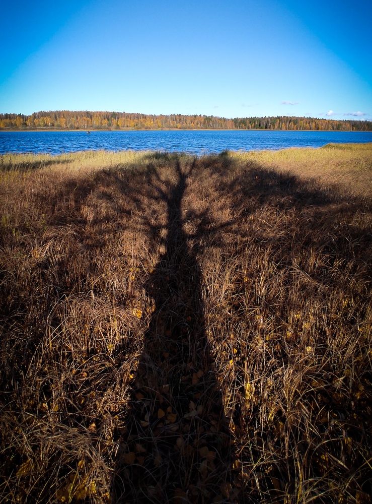 Photograph by Ксения Иванова