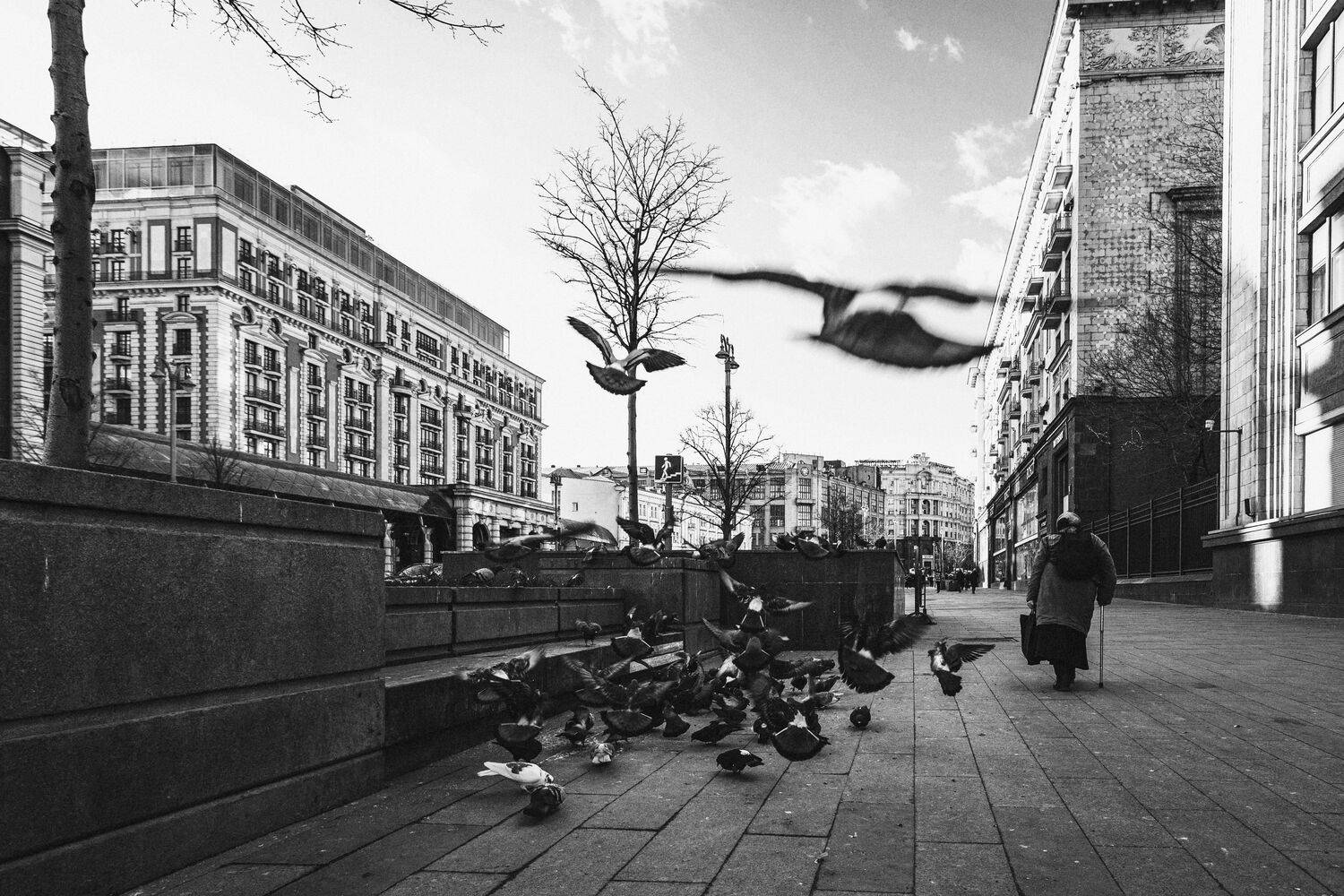 Photo #8380885
