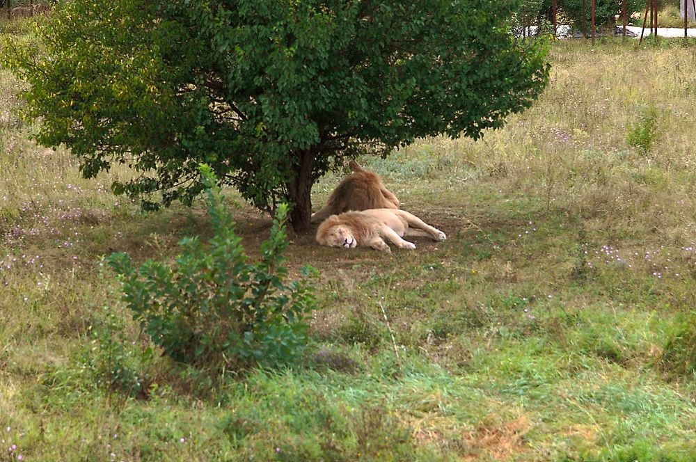 Photograph by Александр Кудрявцев
