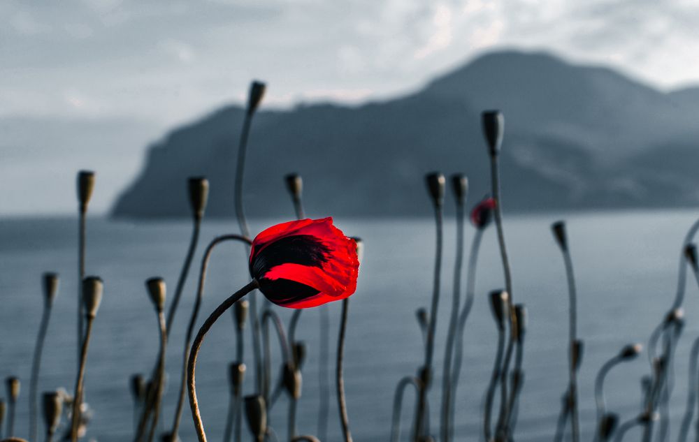 Photograph by Юрий Гаврилов