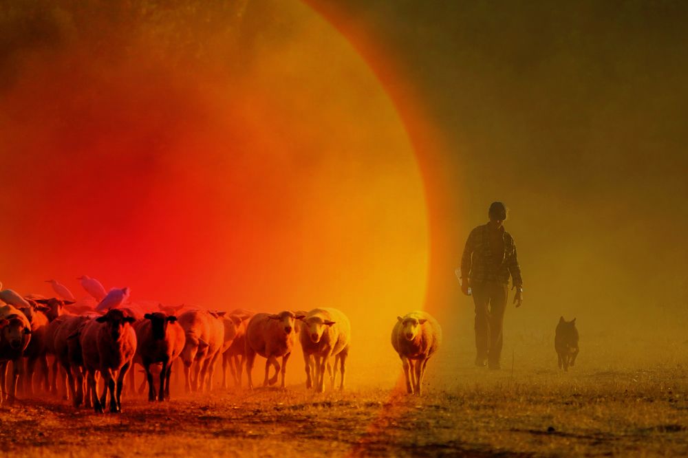 Фотография автора Jian Ma