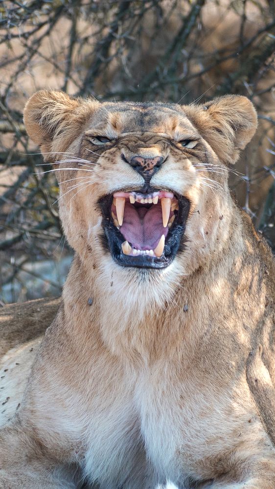 Photograph by Zandri Gillespie