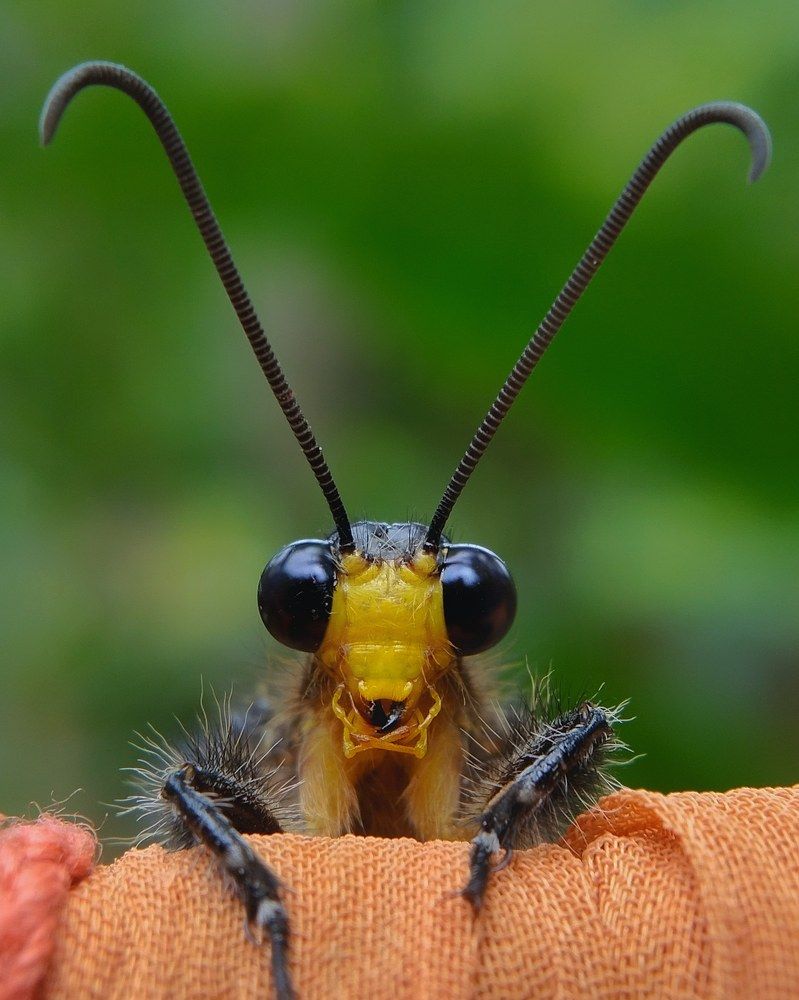 Photograph by Rakib Job