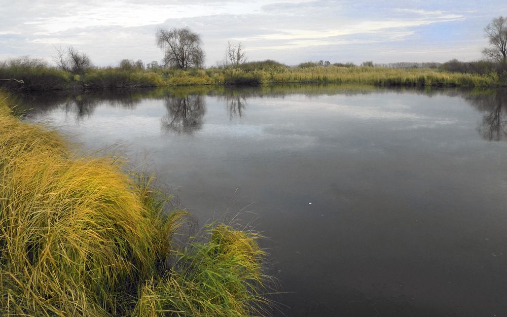 Photograph by Сергей Рудаков