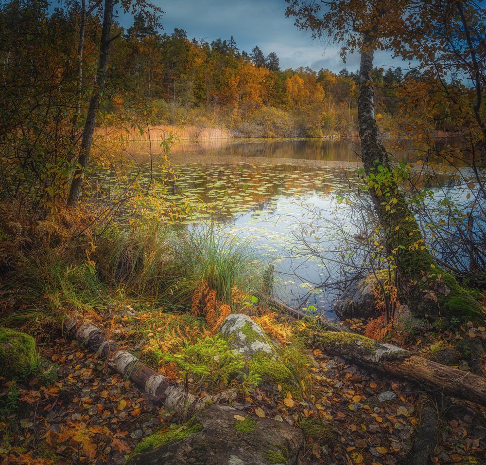 Photograph by Андрей Ожерельев