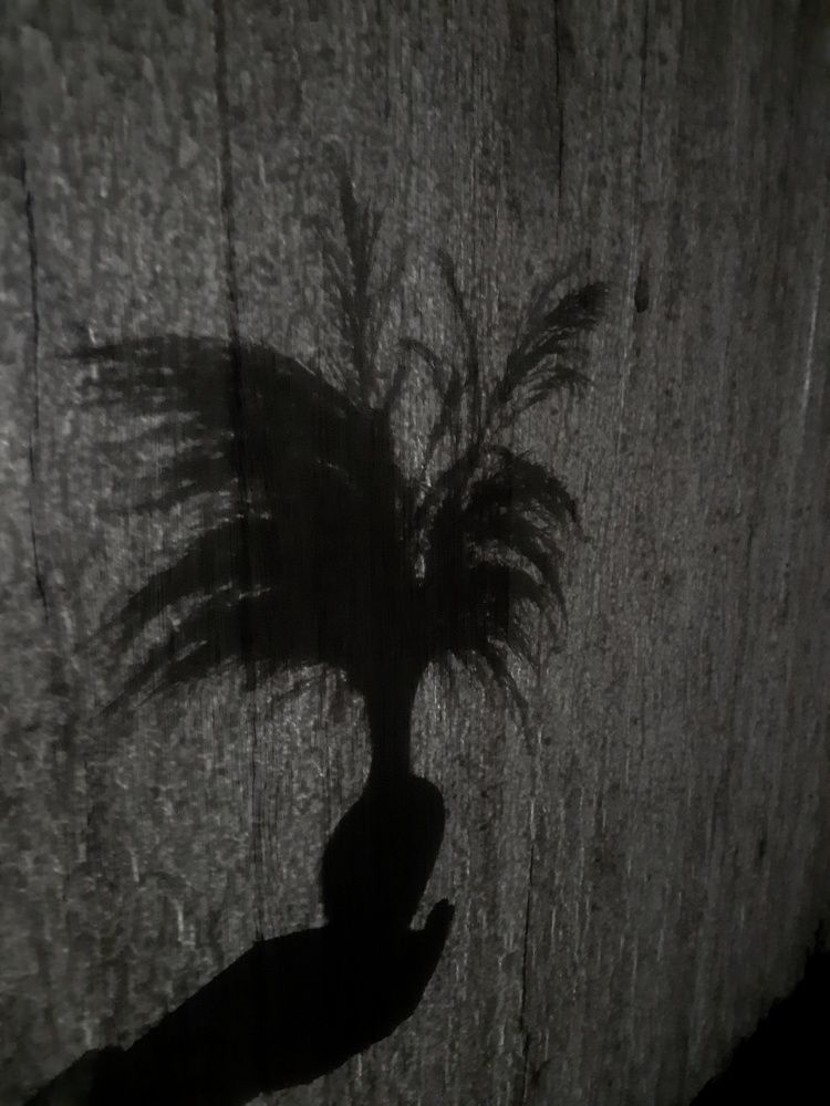 Photograph by Наталья Чередниченко