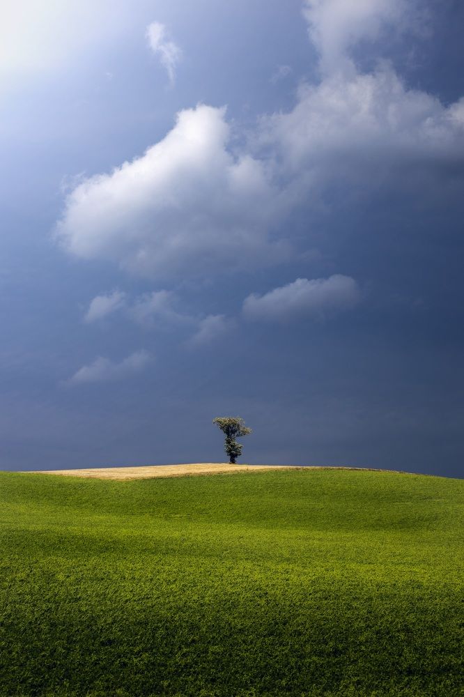 Photograph by Christian  Bolognese