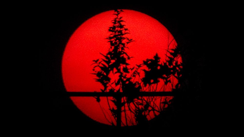 Photograph by Soumya Seal