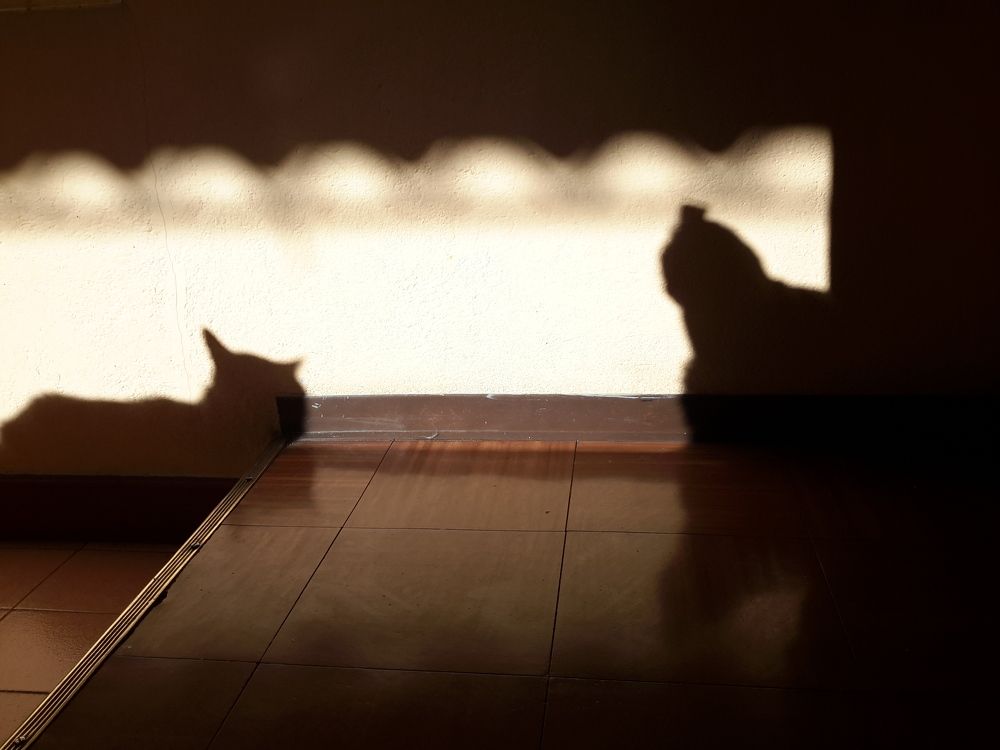 Photograph by Mario Alfonso Gudiño Dávila