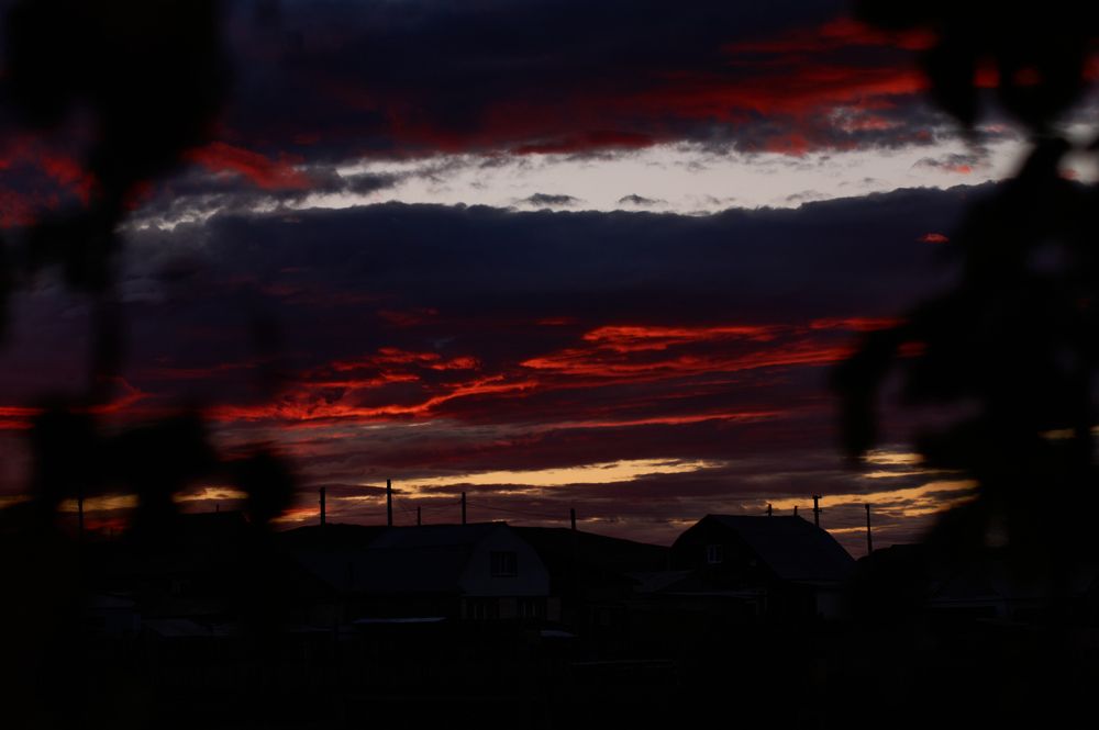 Photograph by Анастасия Пельменёва