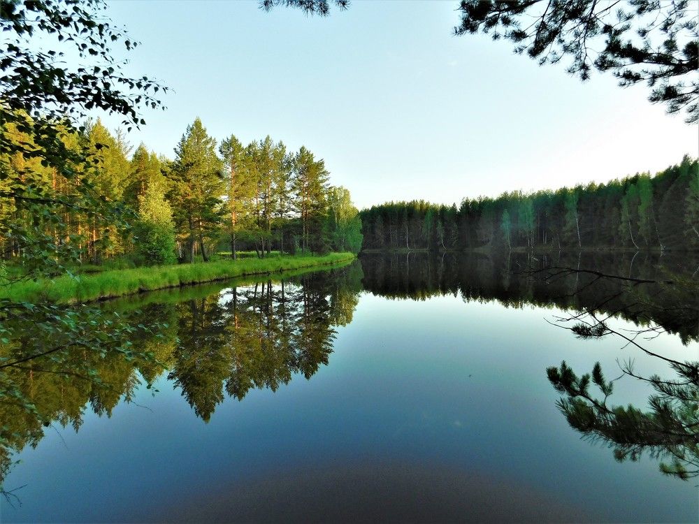 Photograph by Чкареули Светлана