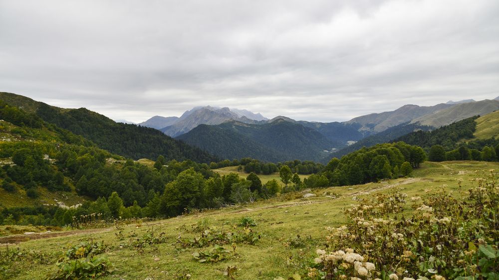 Photograph by Юрий Бичеров