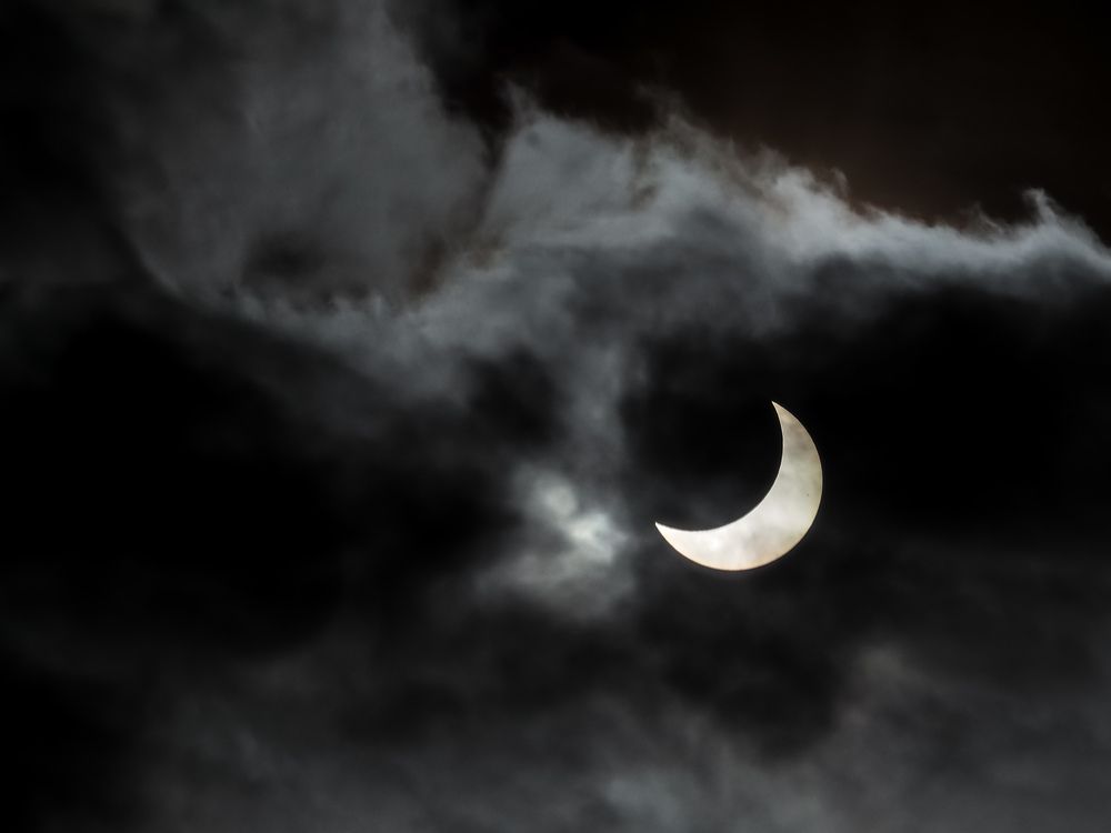 Photograph by Светлана Шибаршина