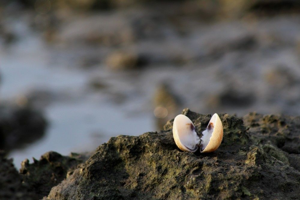 Фотография автора Vivek Tavate