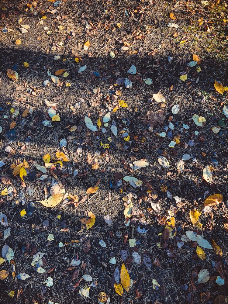 Photograph by Олеся Семёнова