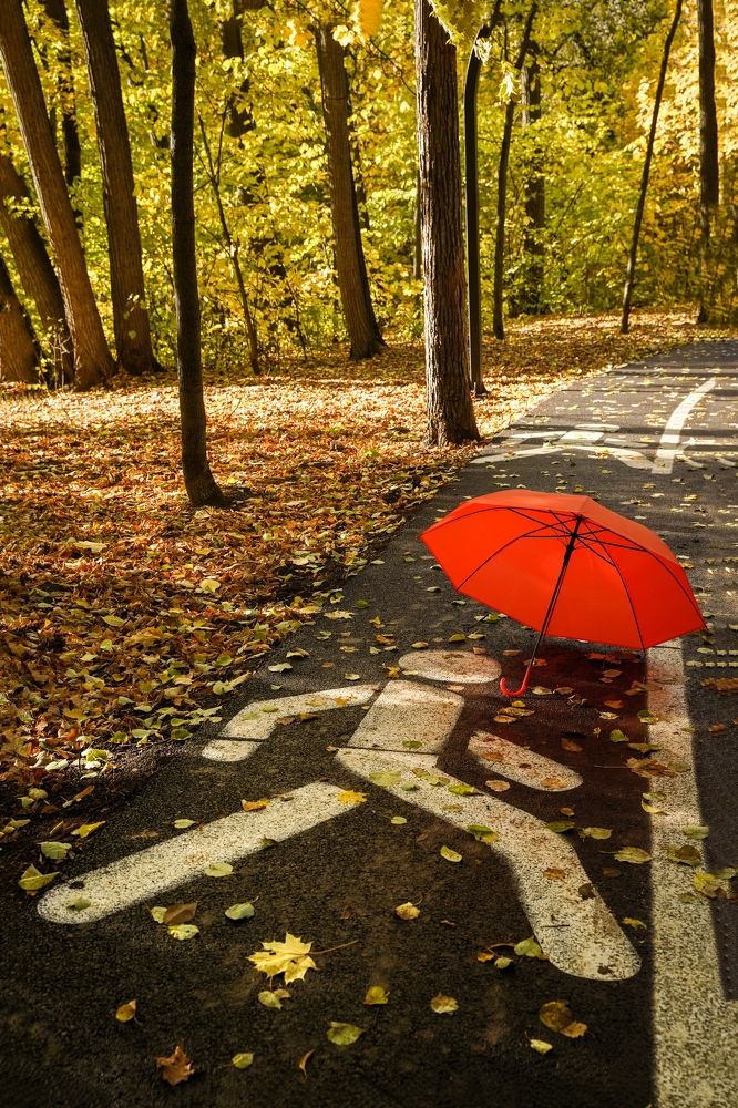 Photograph by Татьяна Богомазова