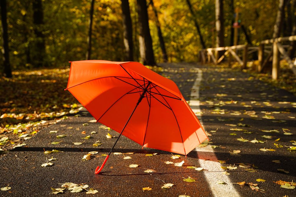 Photograph by Татьяна Богомазова