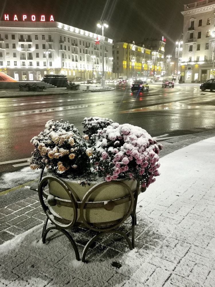 Фотография автора Ольга Матусевич