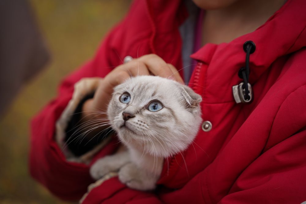 Photograph by Татьяна Богомазова