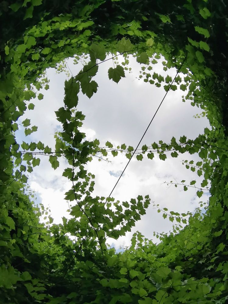 Photograph by Анна Кош