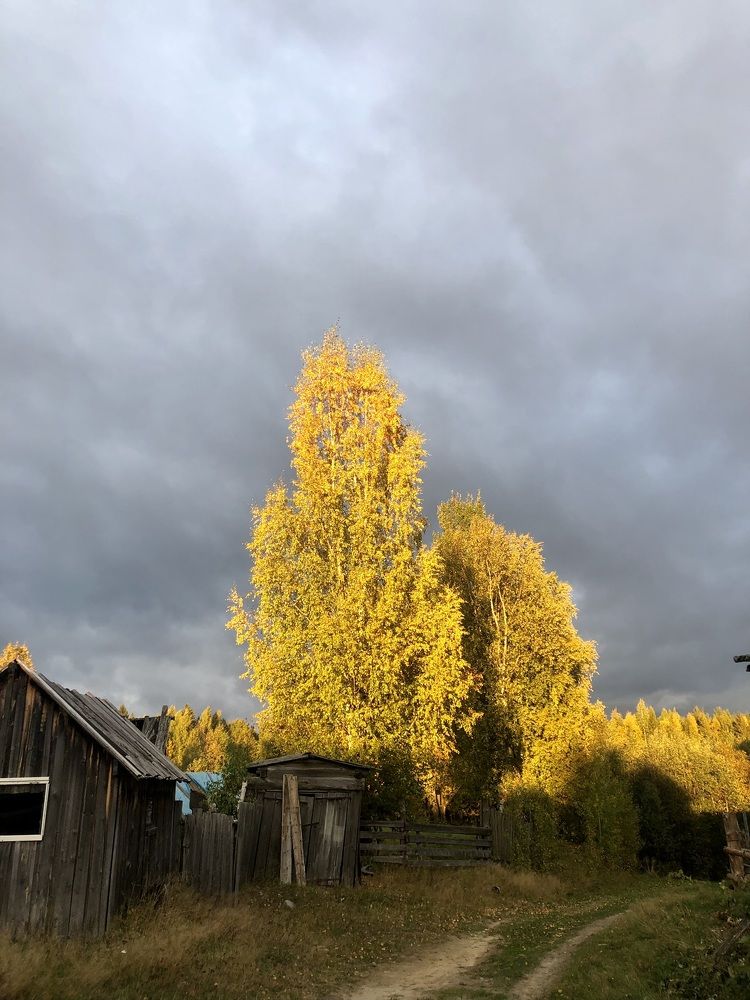 Photograph by Олеся Семёнова