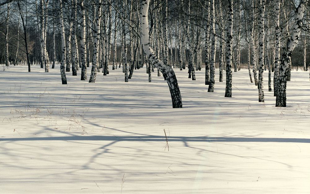 Photograph by Серега Вартман