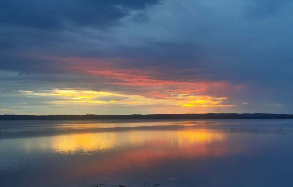 Фотография автора Ольга Матусевич