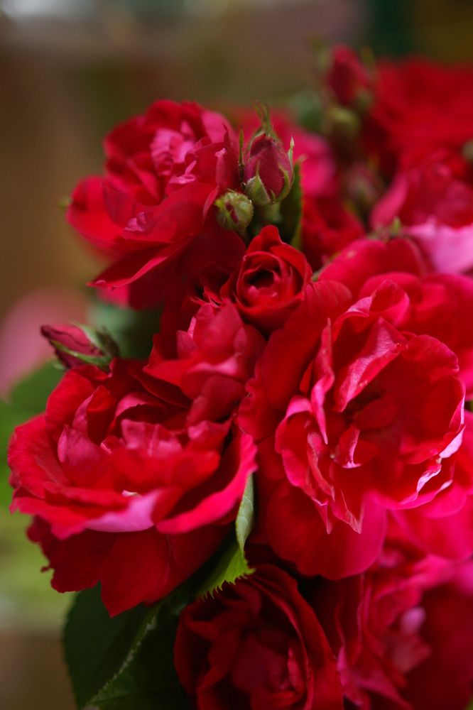 Photograph by Юлия Варенова