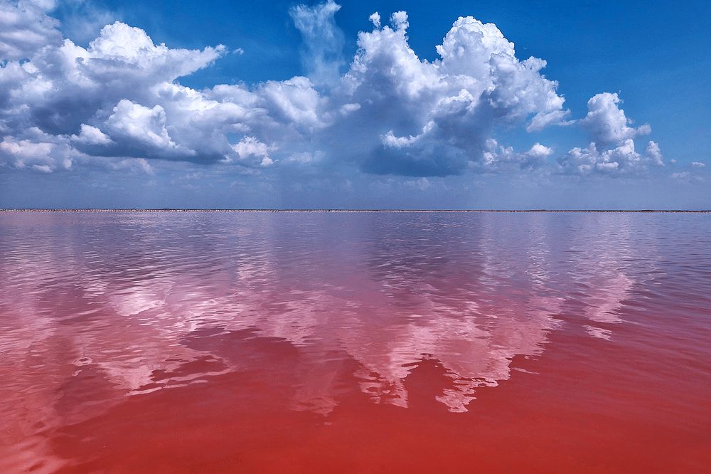 Photograph by Наталья Антипас