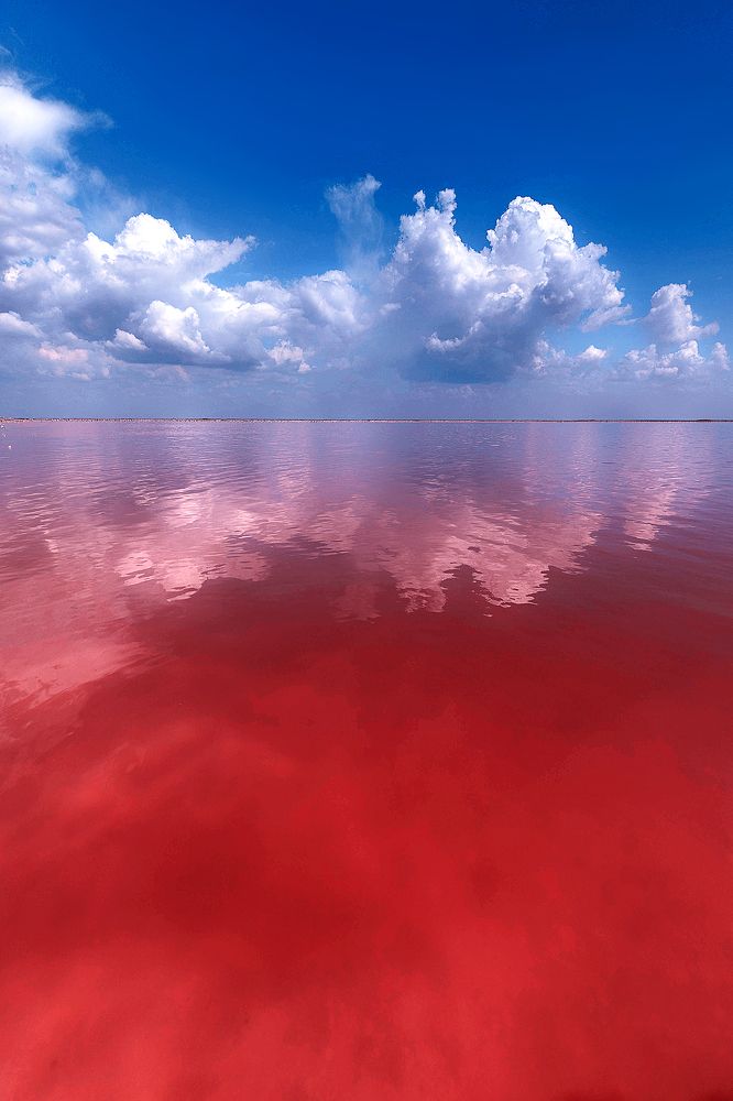 Photograph by Наталья Антипас