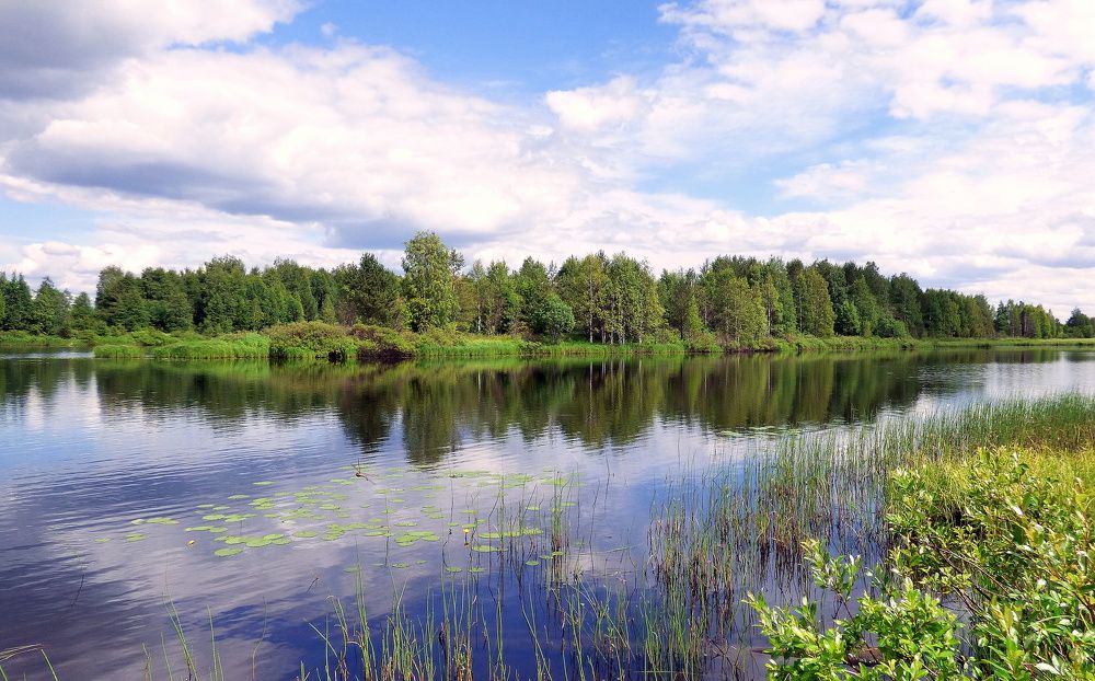 Photograph by Pjotr Alekseev