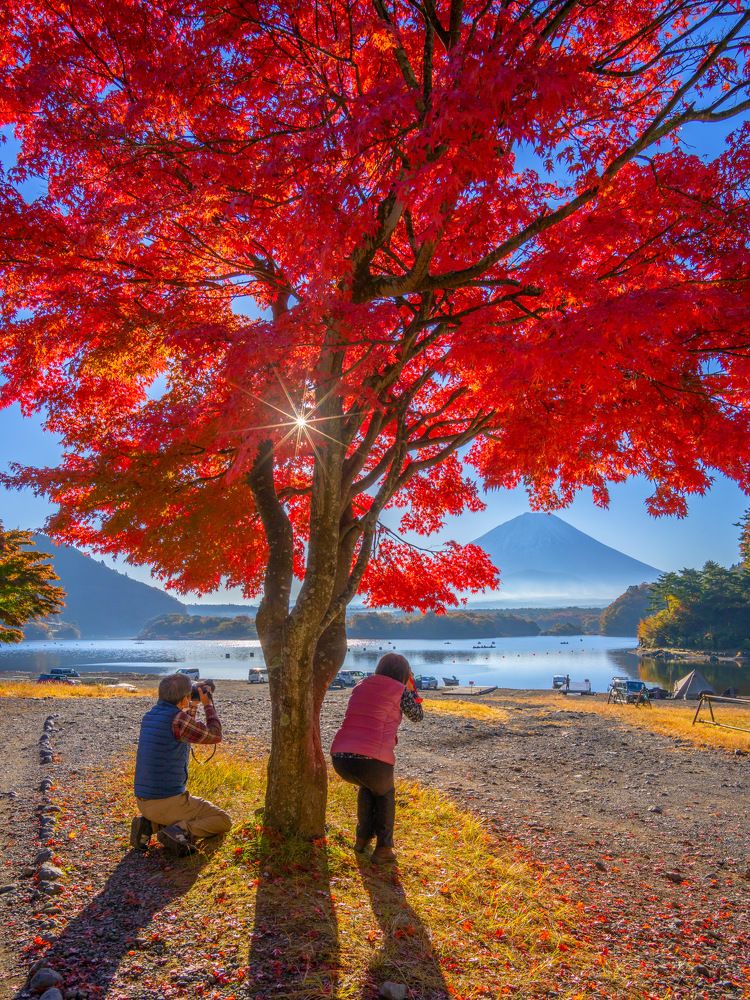 Photograph by Phùng Minh Long