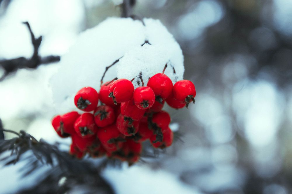 Photograph by Татьяна Титова