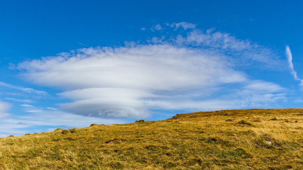 Photograph by Anita Tandari