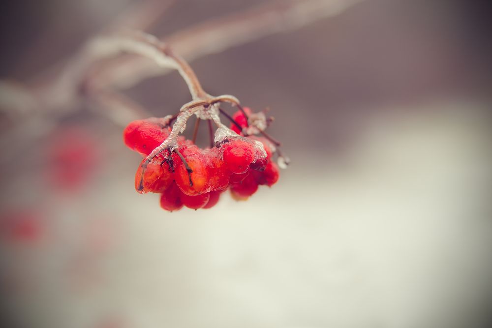 Photograph by Константин Гудков