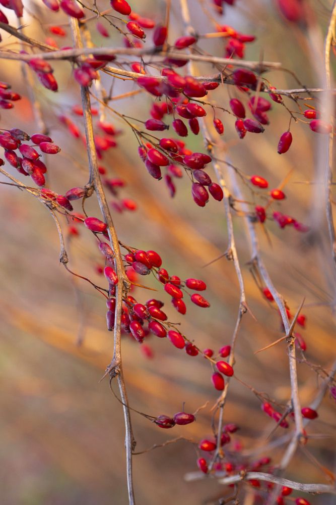 Фотография автора Галина