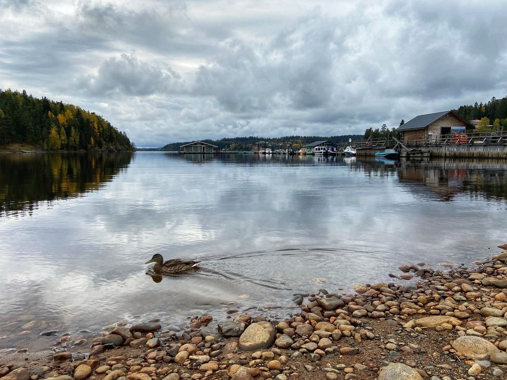 Photograph by Роман Крутов