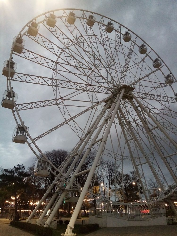 Photo #8381542