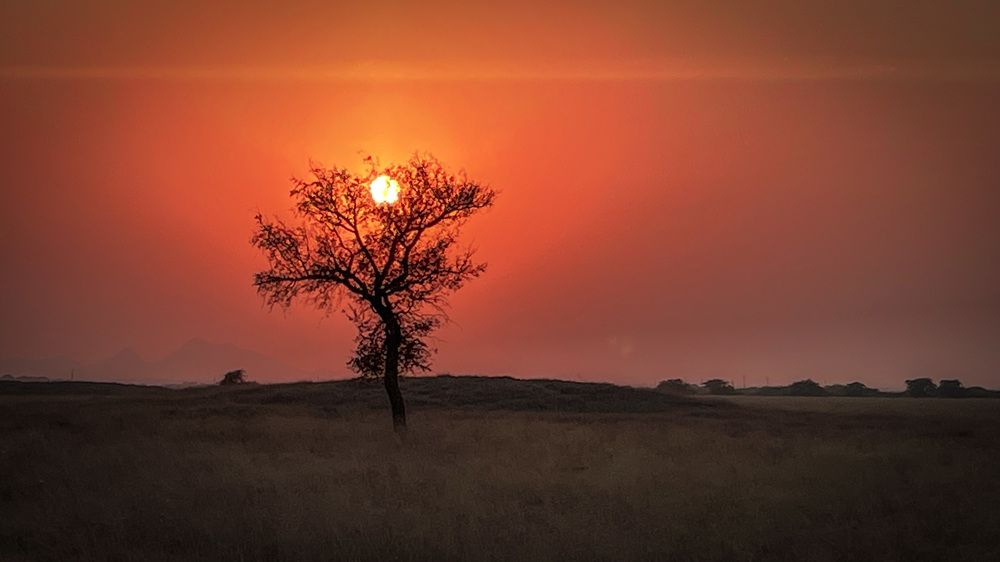 Photograph by ASHWINI BHONGE