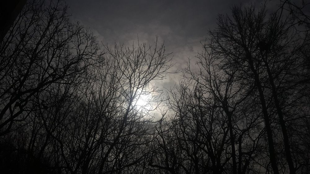 Photo #8381564