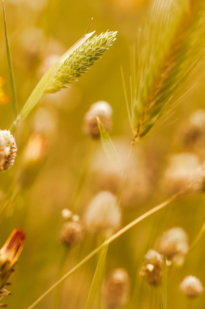 Photograph by Torres