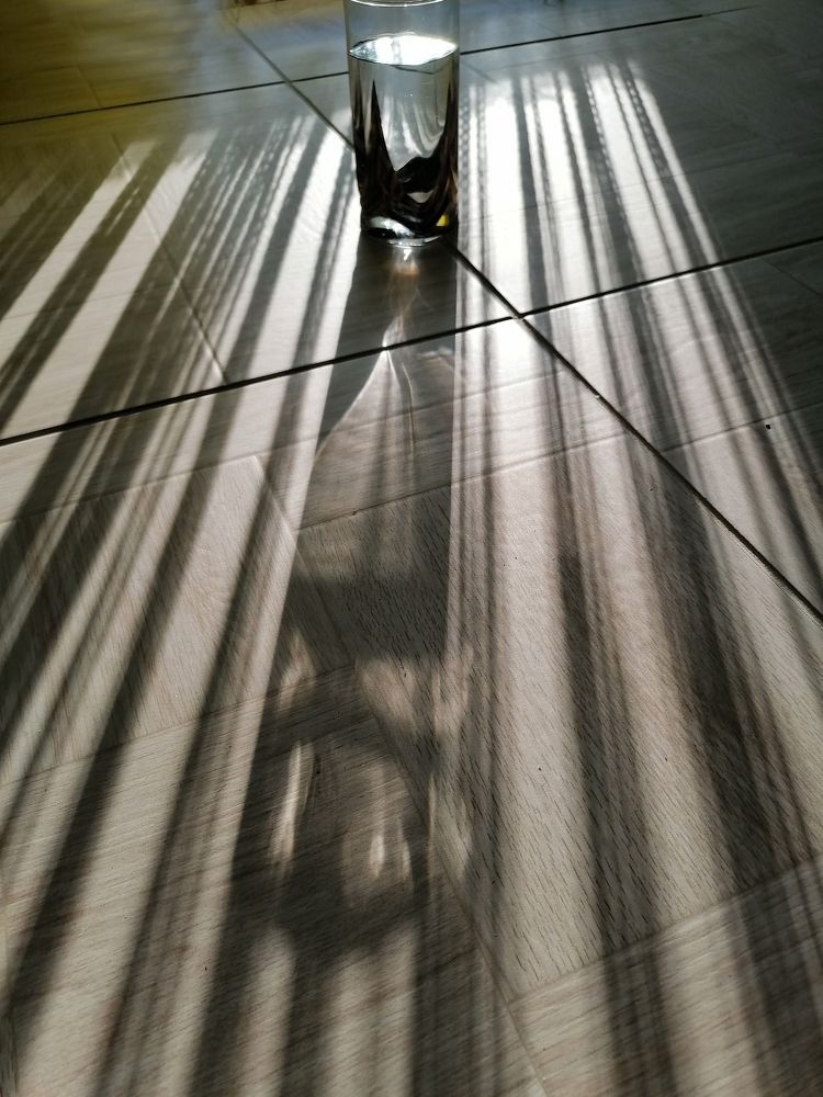 Photograph by Людмила Савчук