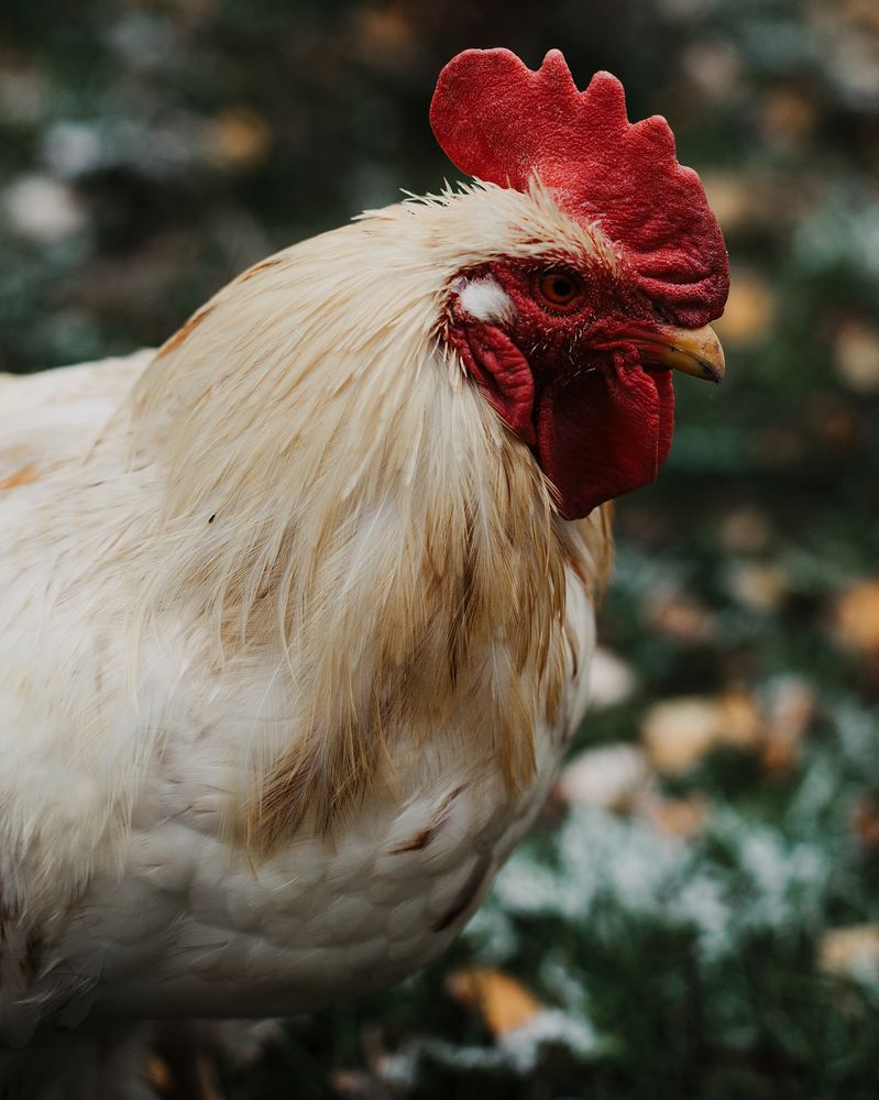 Фотография автора Анна Беляева