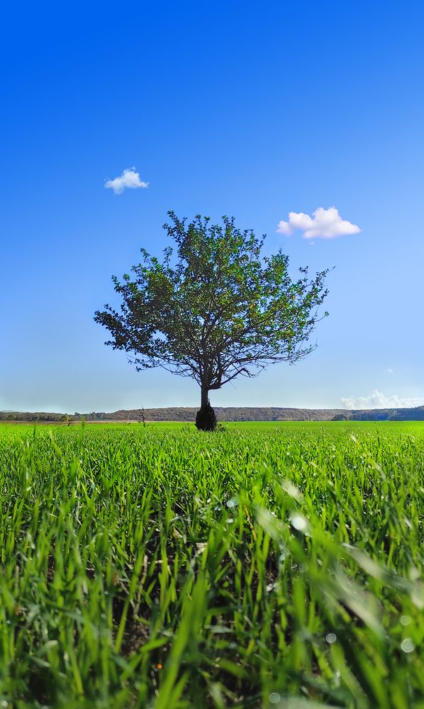 Photograph by Анастасия