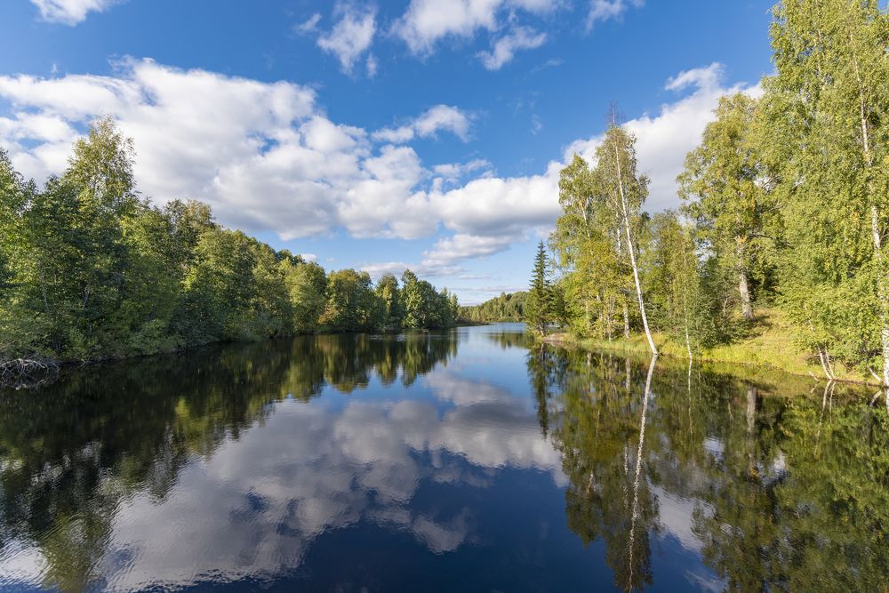 Фотография автора Алексей Новиков