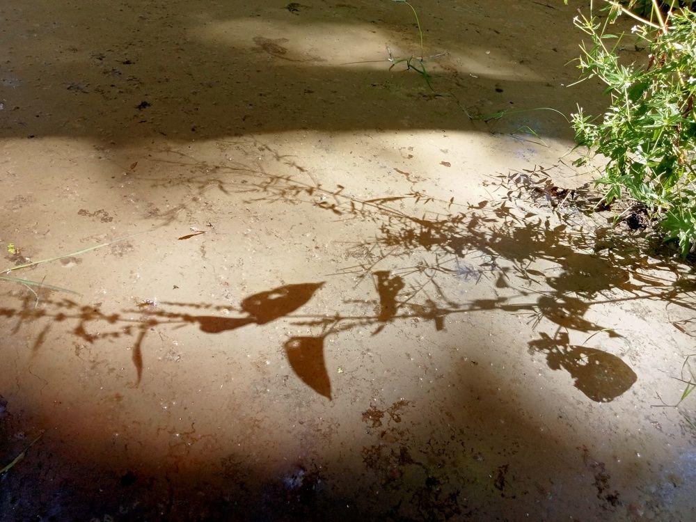 Photograph by Tereza Gaiduchok