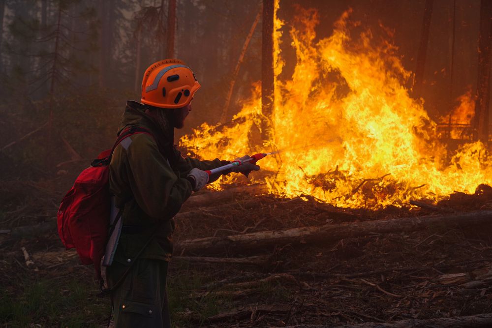 Photograph by Игорь Капустин